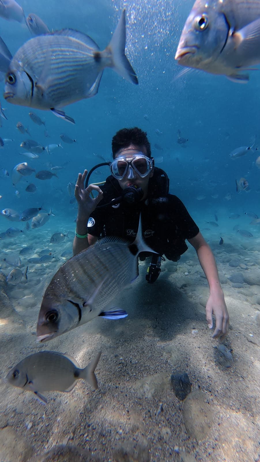 Oasis Dive Center ile Akdeniz'de dalış anılarından bir kare