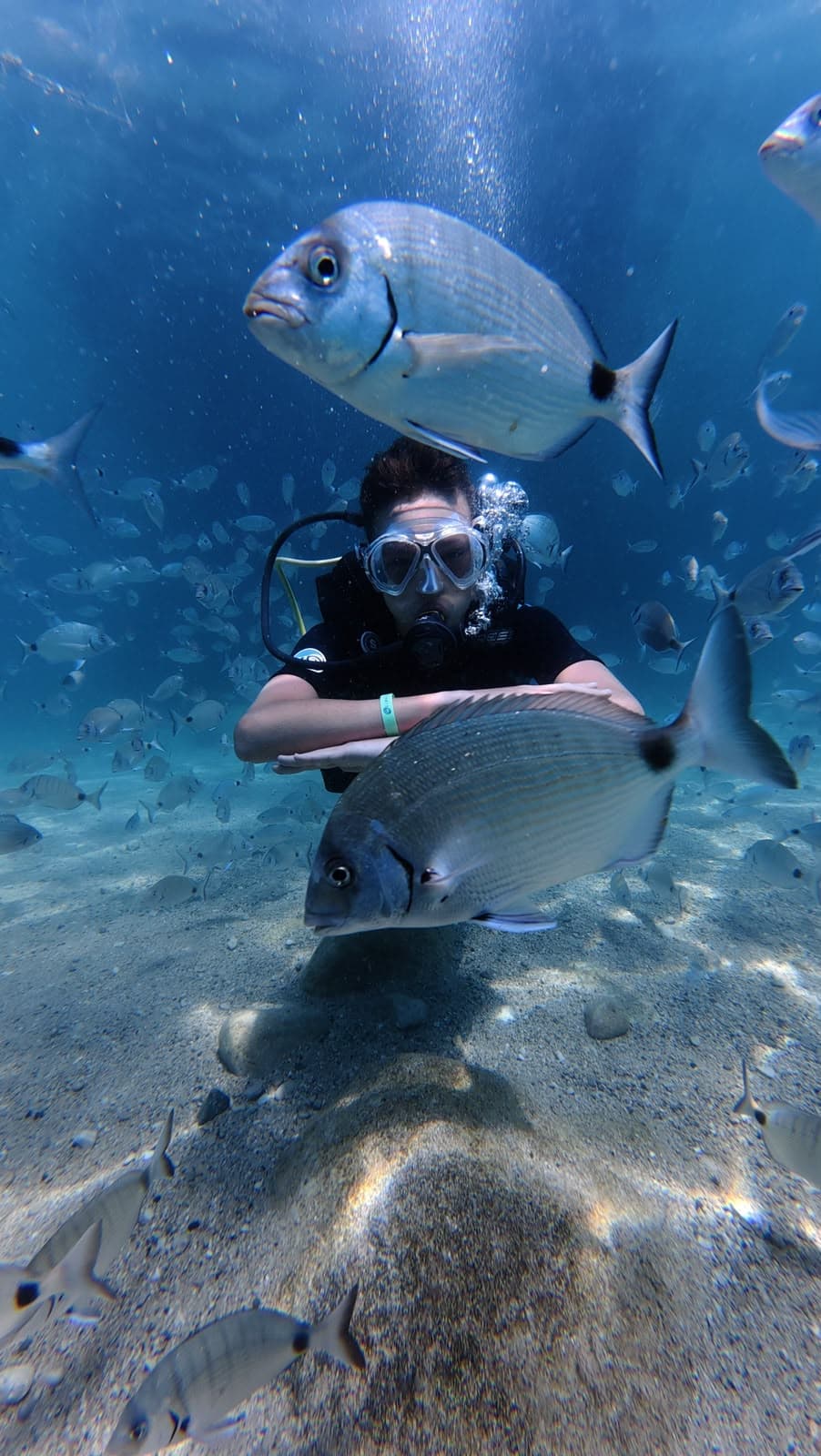 Oasis Dive Center ile Akdeniz'de dalış anılarından bir kare